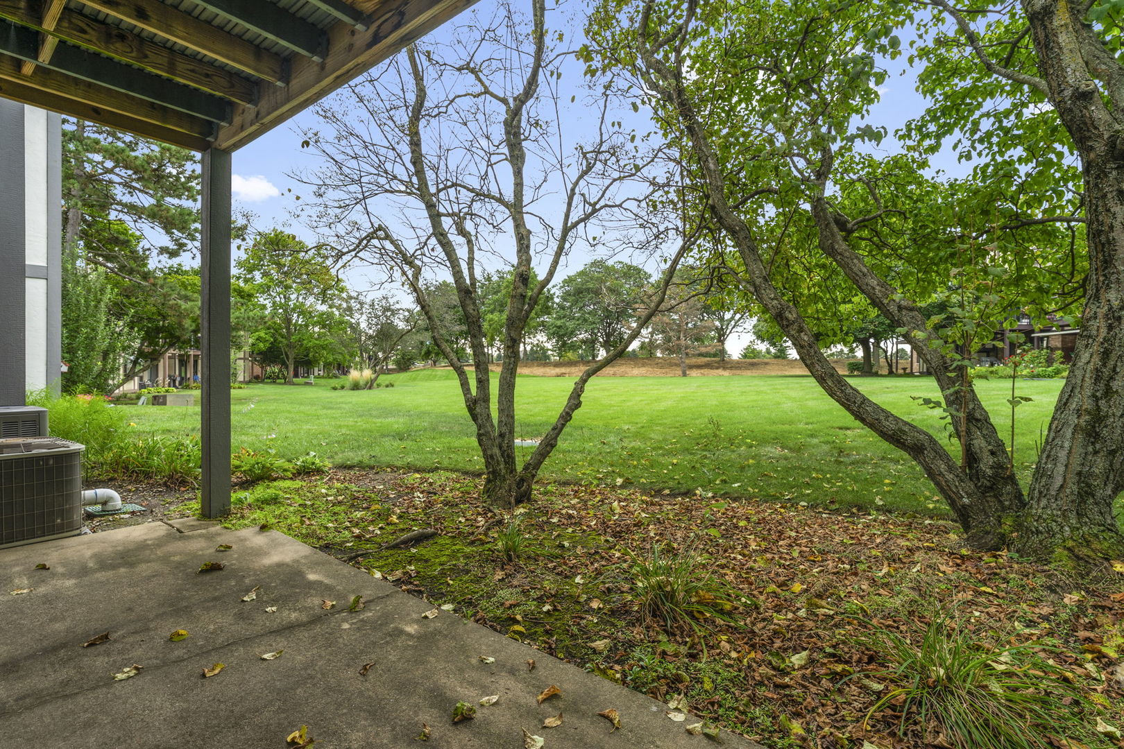 386 Elizabeth Drive 386 Property Photo 15