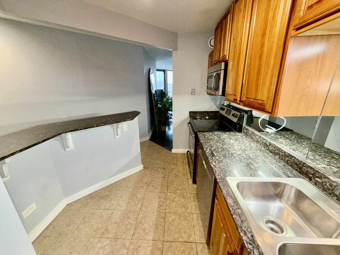 5320 N Sheridan Road 1502 Property Photo 13