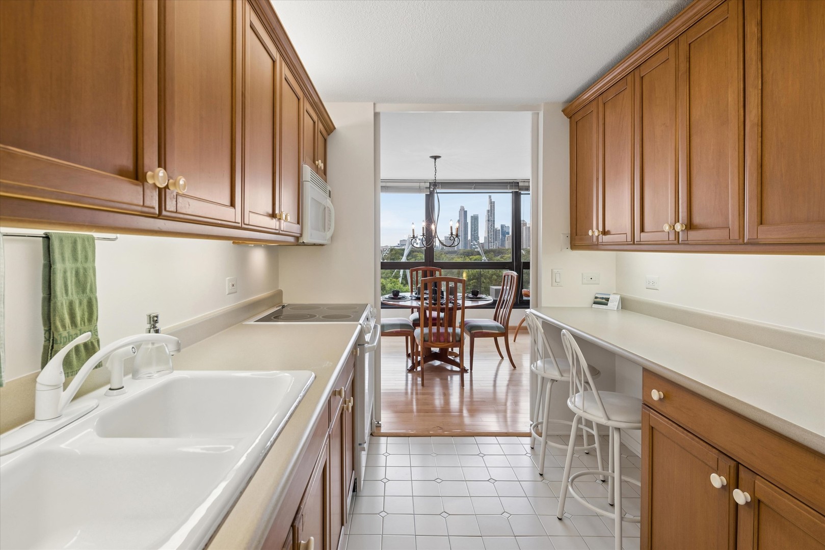 360 E Randolph Street 403 Property Photo 13