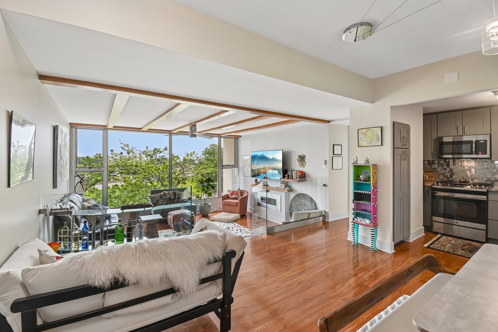 3200 N Lake Shore Drive 410 Property Photo 6