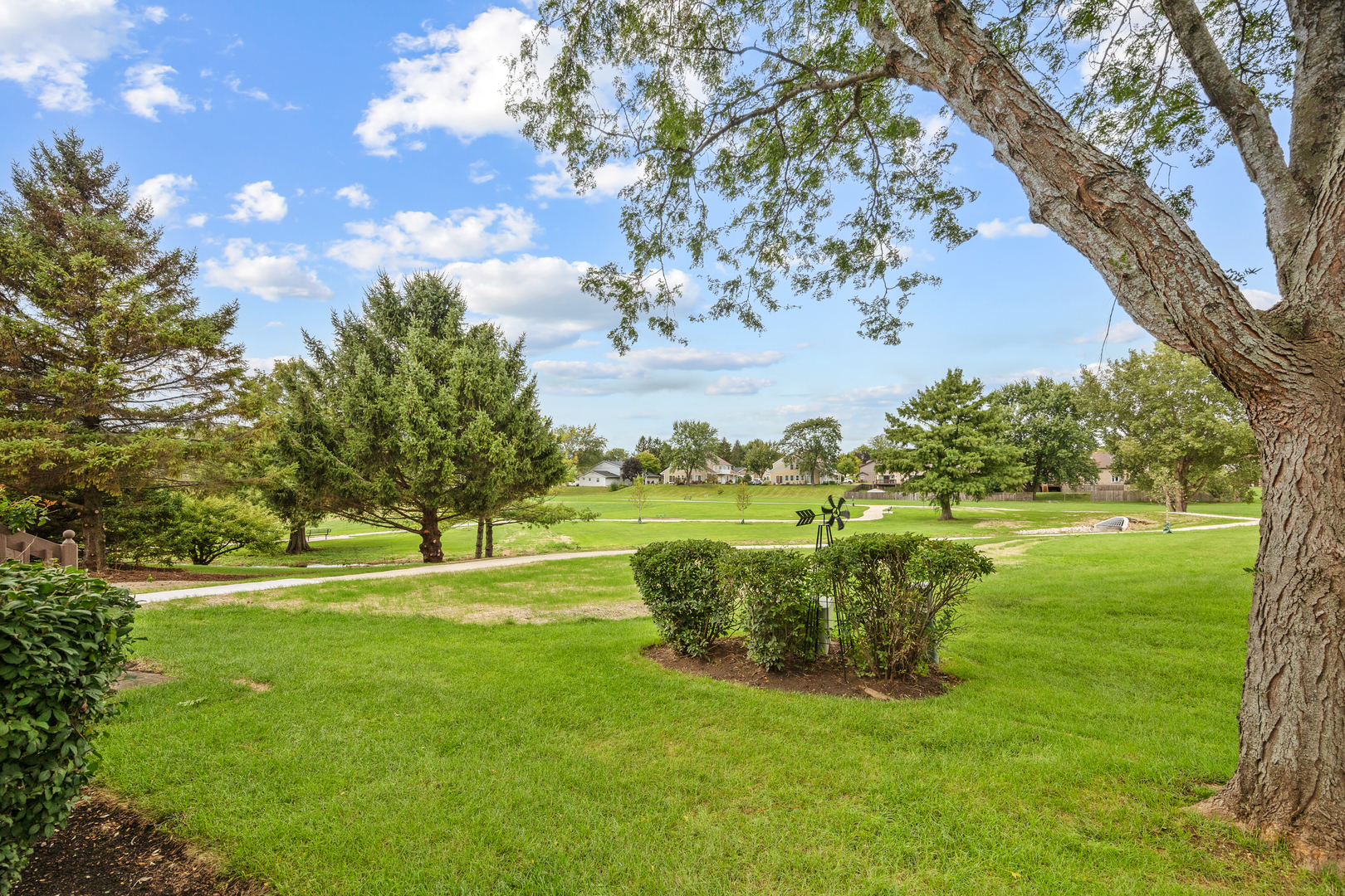12765875 Property Photo 23