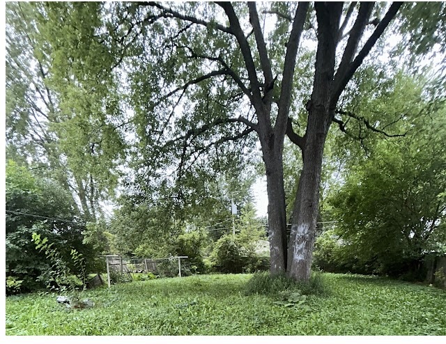 2106 Gideon Avenue Property Photo 10