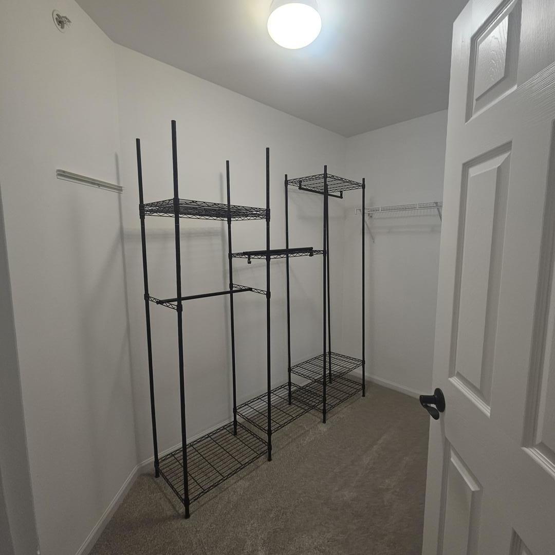 6085 Delaney Drive Property Photo 15