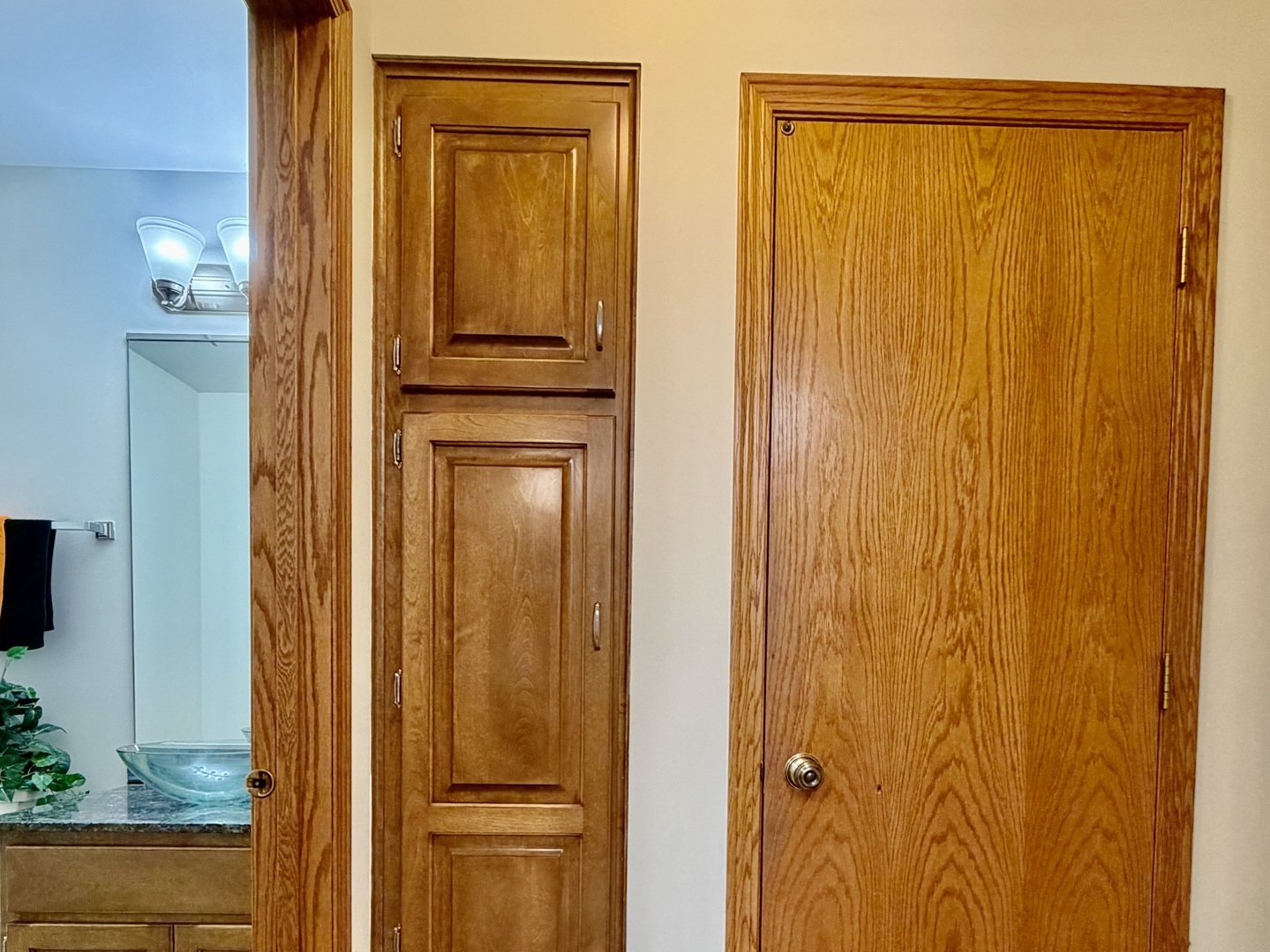 19339 Lisadell Drive Property Photo 22