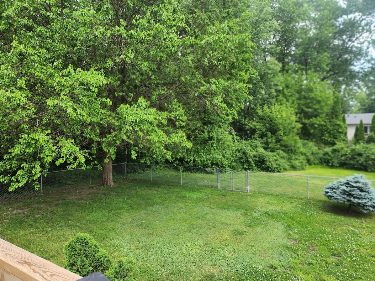 11233 3rd Avenue Property Photo 72