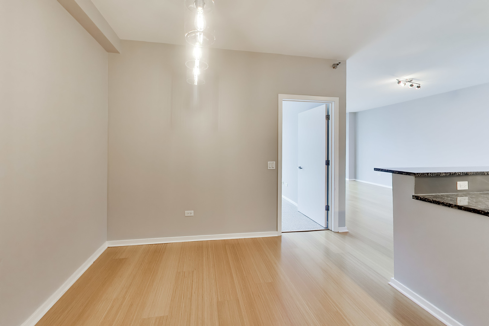 125 S Green Street 805a Property Photo 10