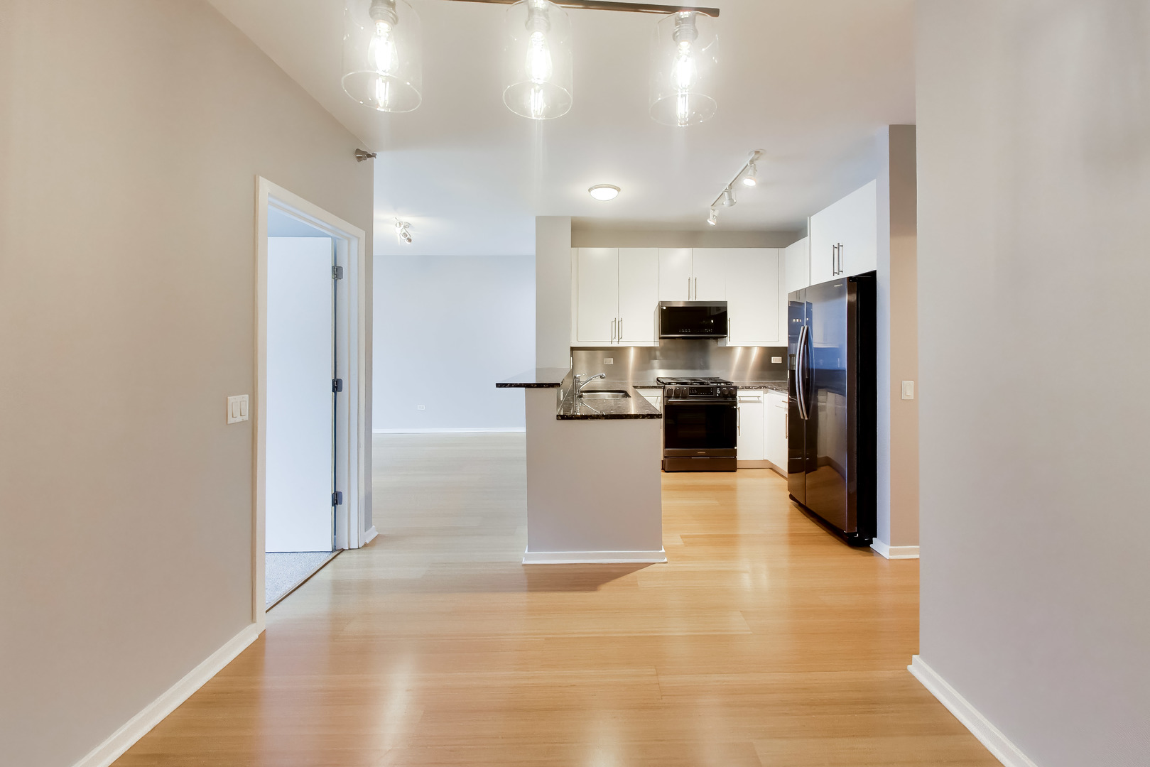 125 S Green Street 805a Property Photo 11
