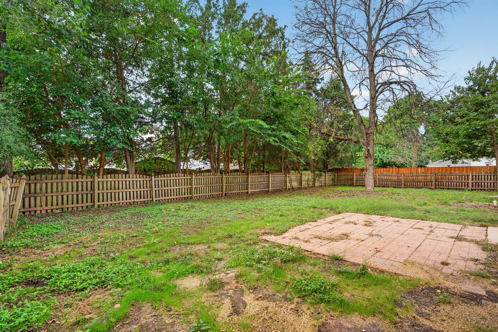 905 Pine Bluff Road Property Photo 18