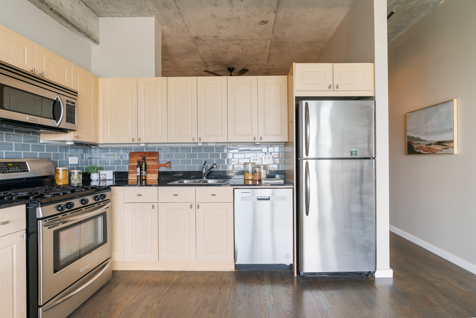 1620 S Michigan Avenue 919 Property Photo 6