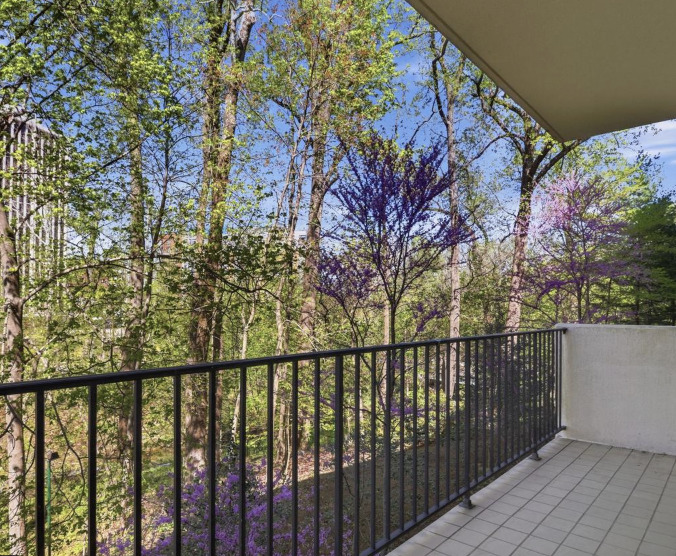 8101 Connecticut Avenue N304 Property Photo 1
