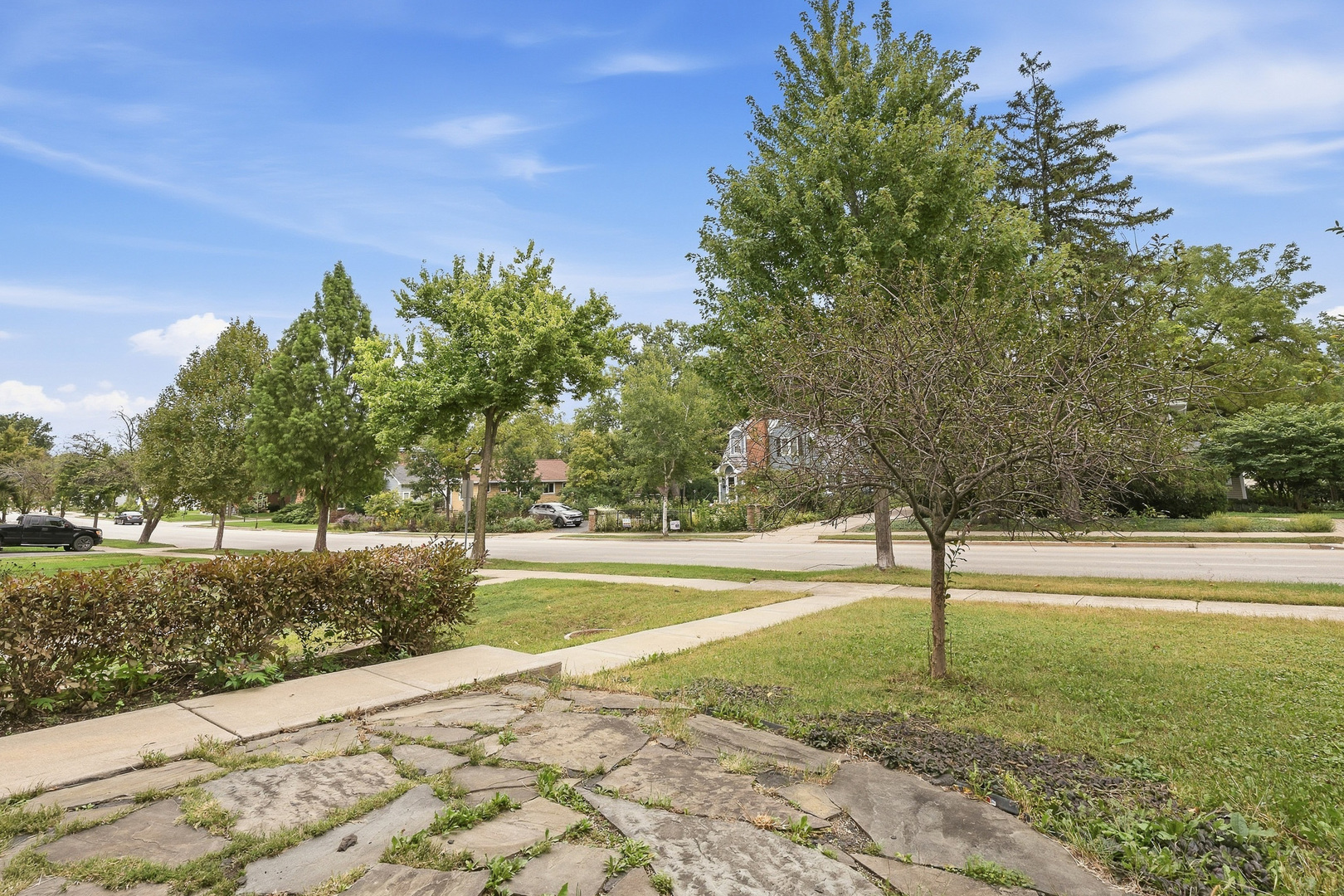 230 S Cass Avenue Property Photo 39