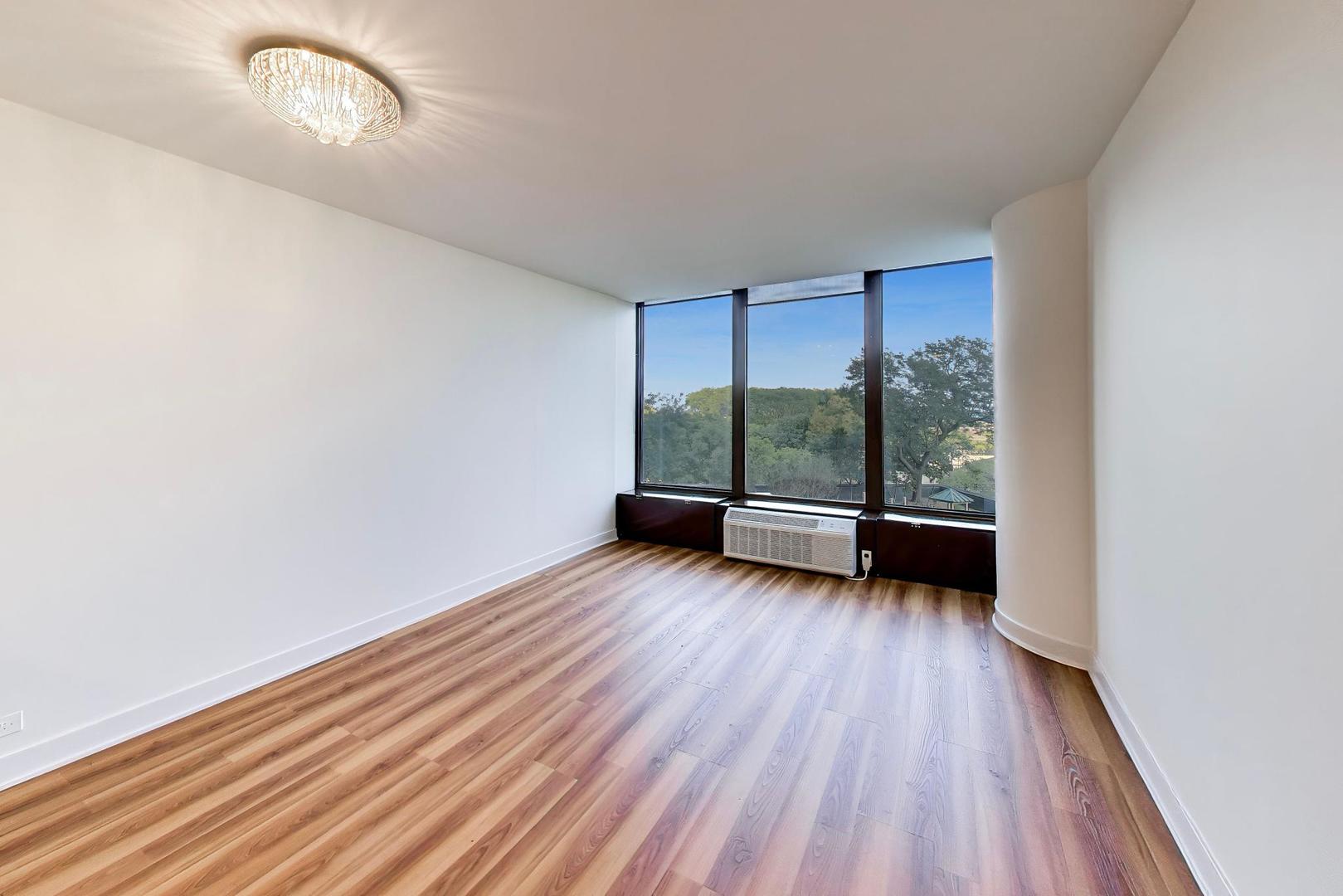 505 N Lake Shore Drive 407 Property Photo 4