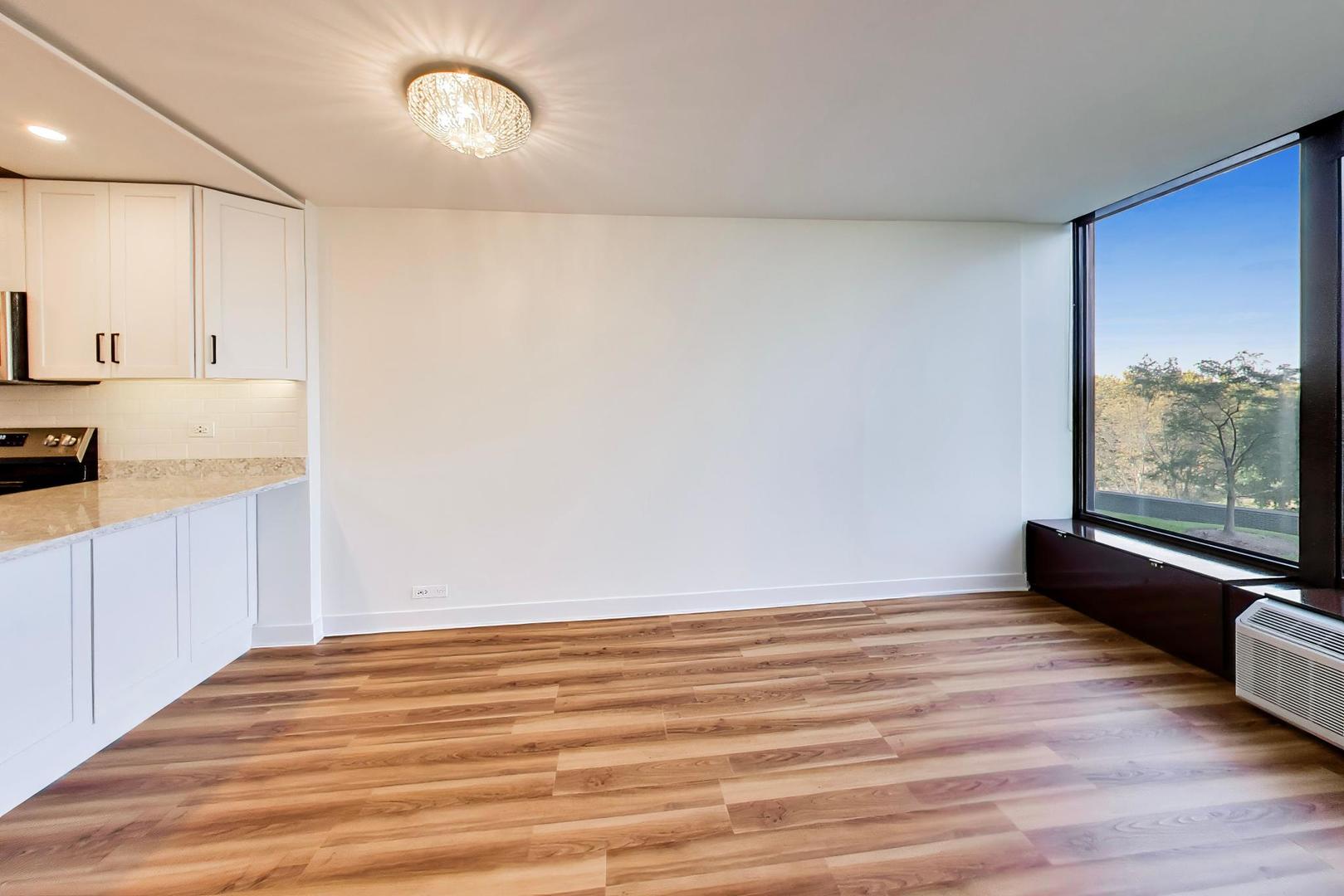 505 N Lake Shore Drive 407 Property Photo 5