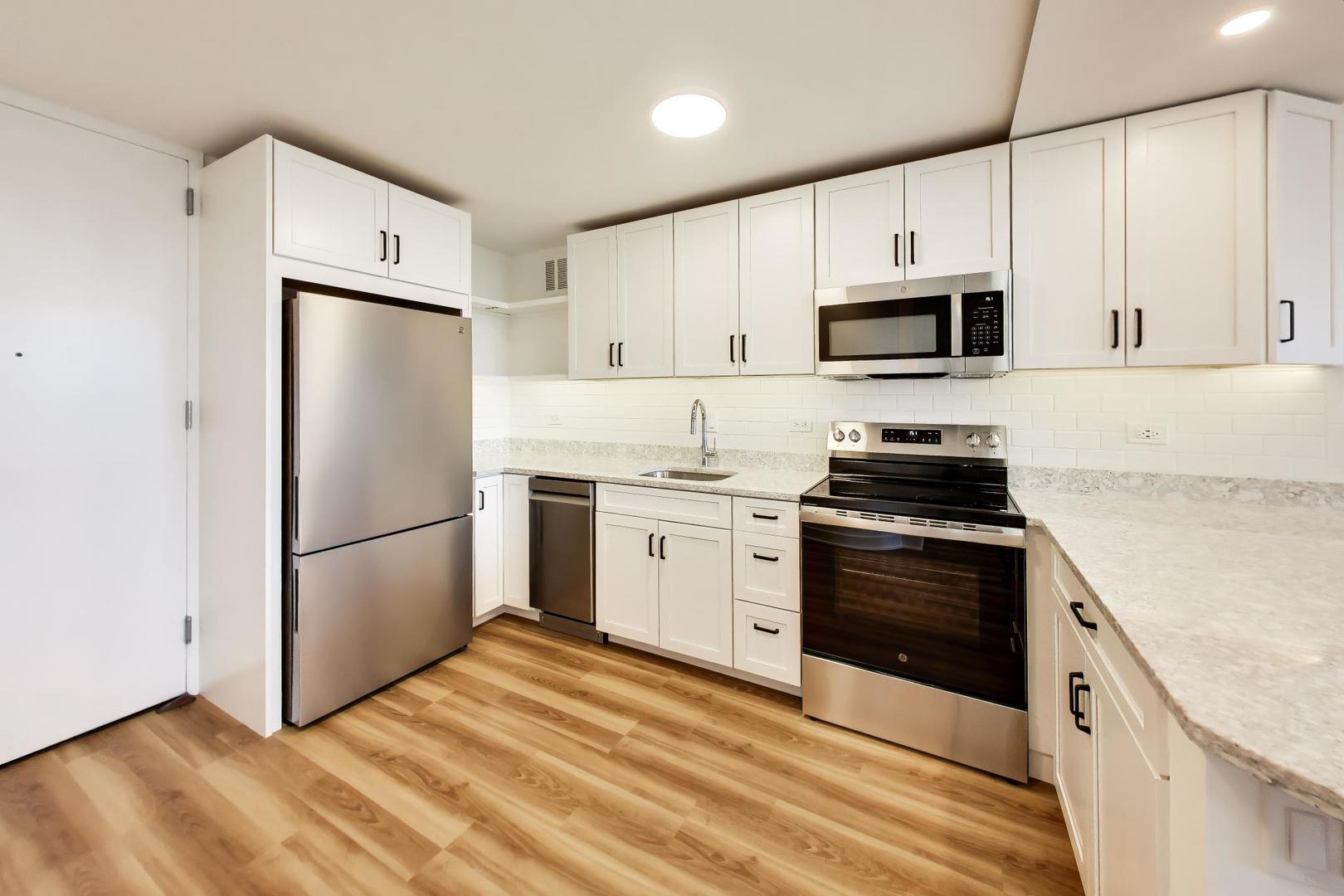 505 N Lake Shore Drive 407 Property Photo 7