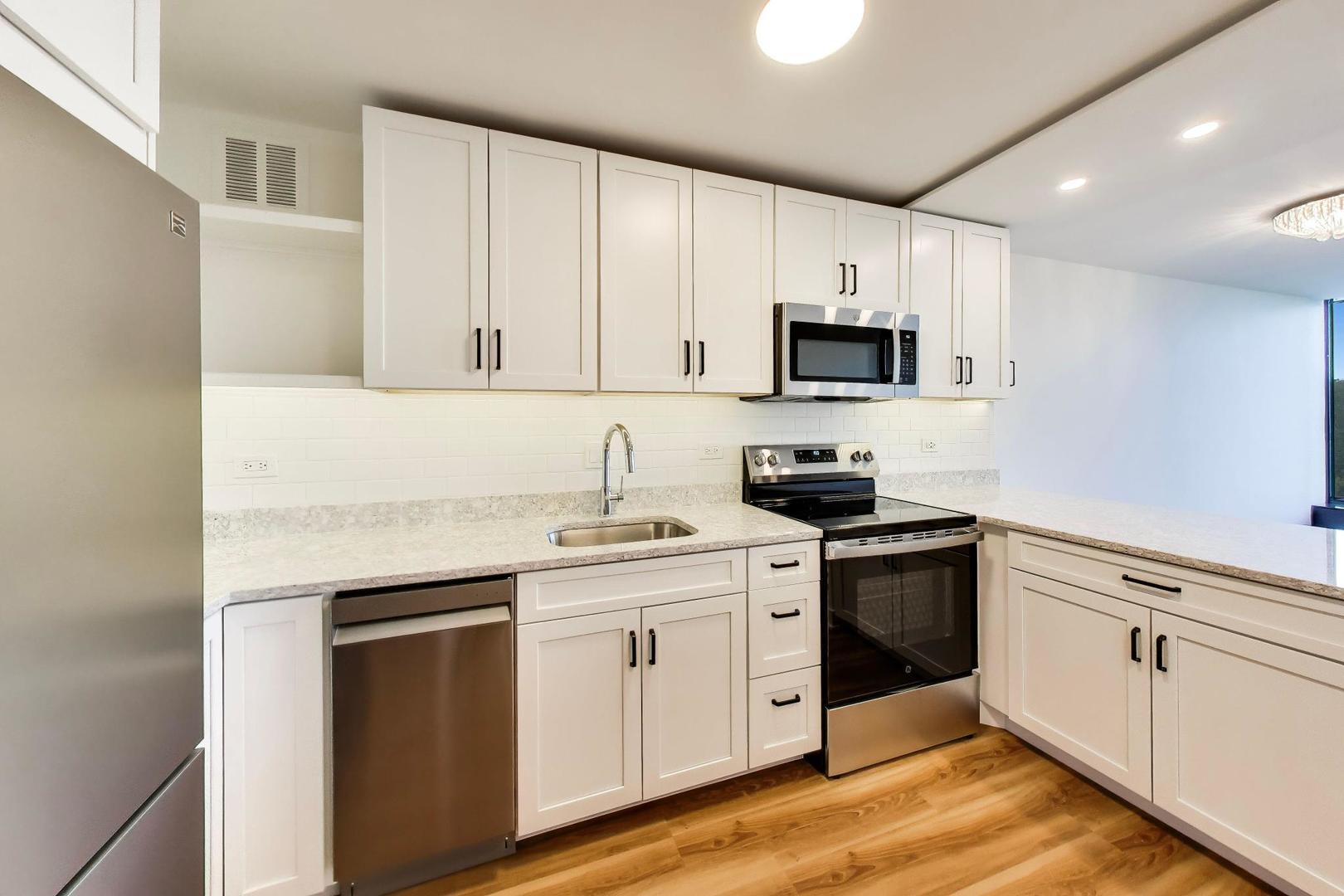 505 N Lake Shore Drive 407 Property Photo 8