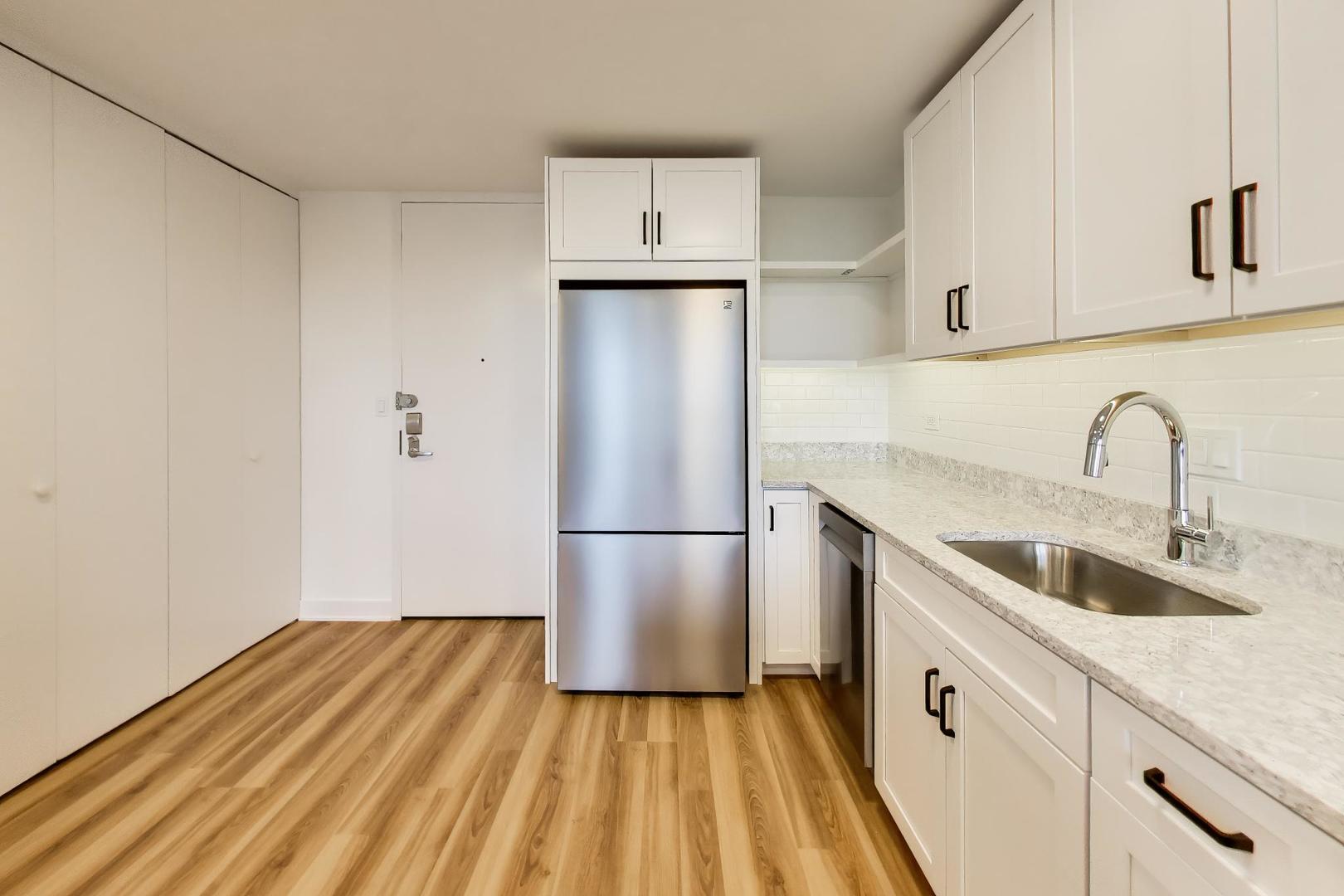 505 N Lake Shore Drive 407 Property Photo 9