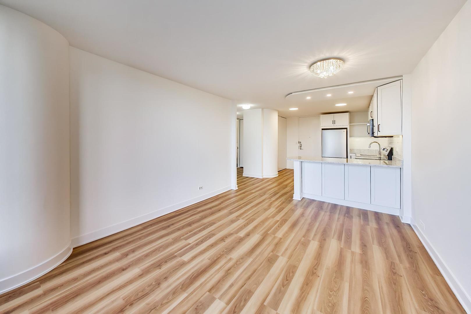 505 N Lake Shore Drive 407 Property Photo 10