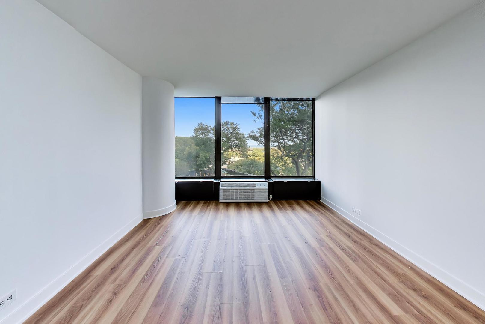 505 N Lake Shore Drive 407 Property Photo 12