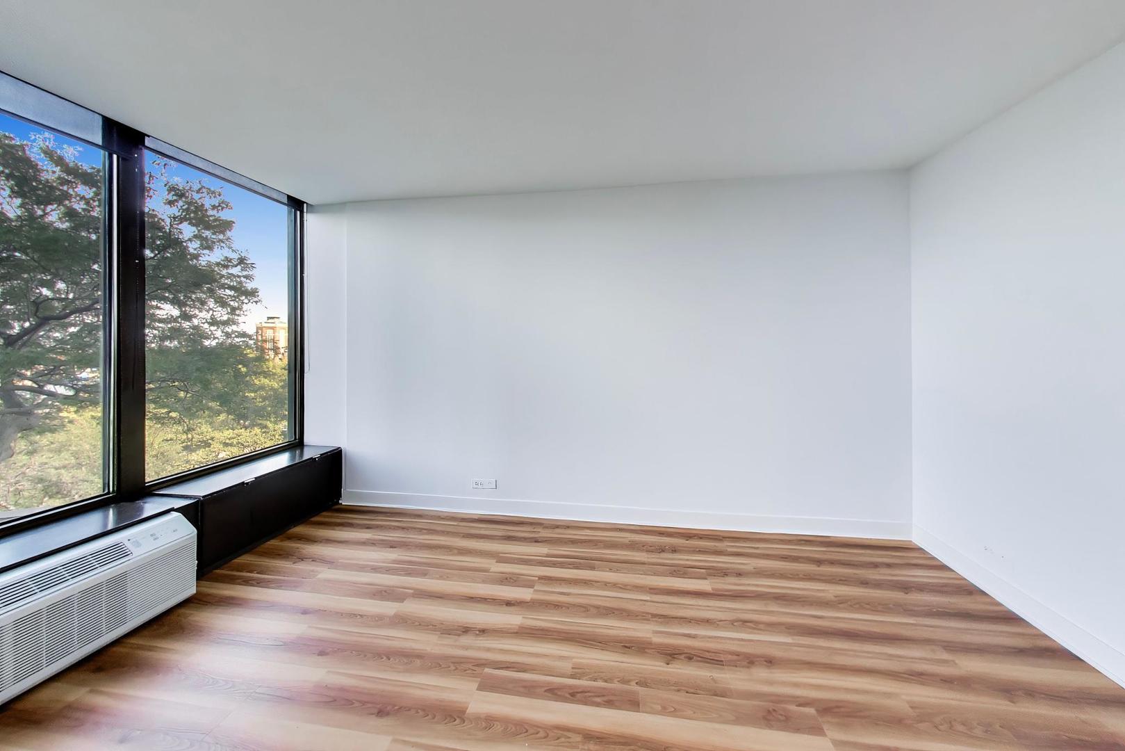 505 N Lake Shore Drive 407 Property Photo 13