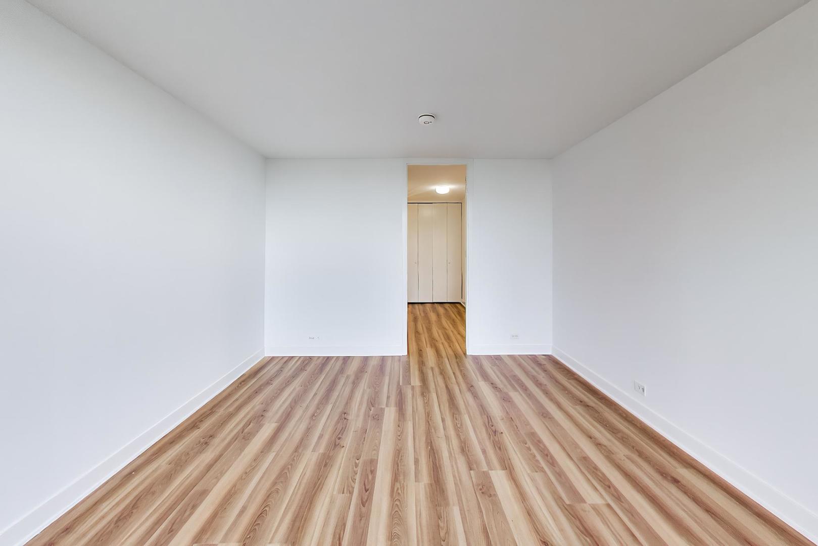 505 N Lake Shore Drive 407 Property Photo 14