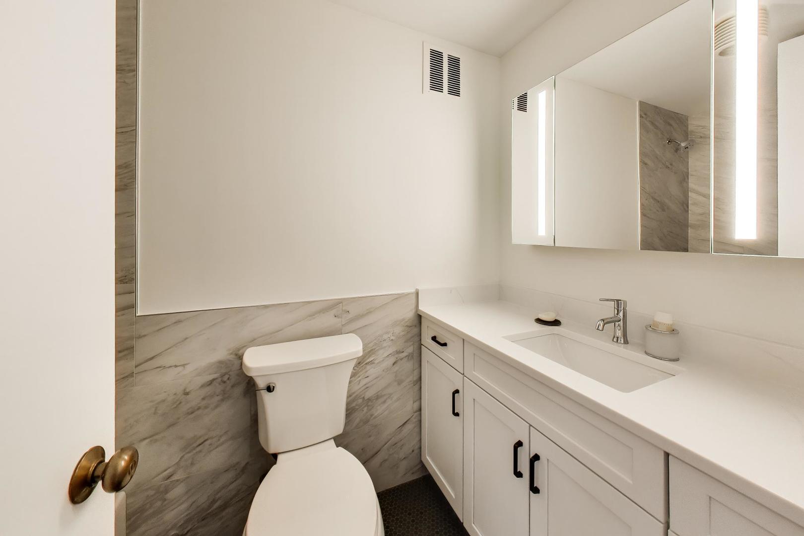 505 N Lake Shore Drive 407 Property Photo 16