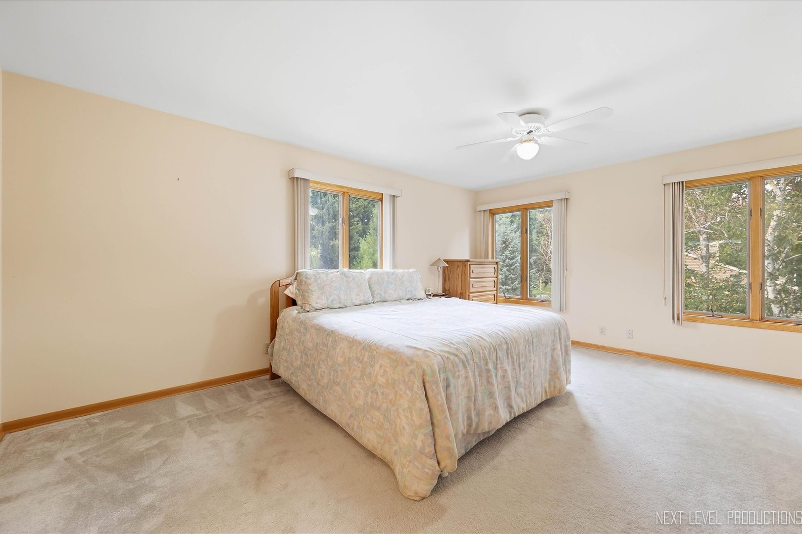 40w923 Mulhern Drive Property Photo 25