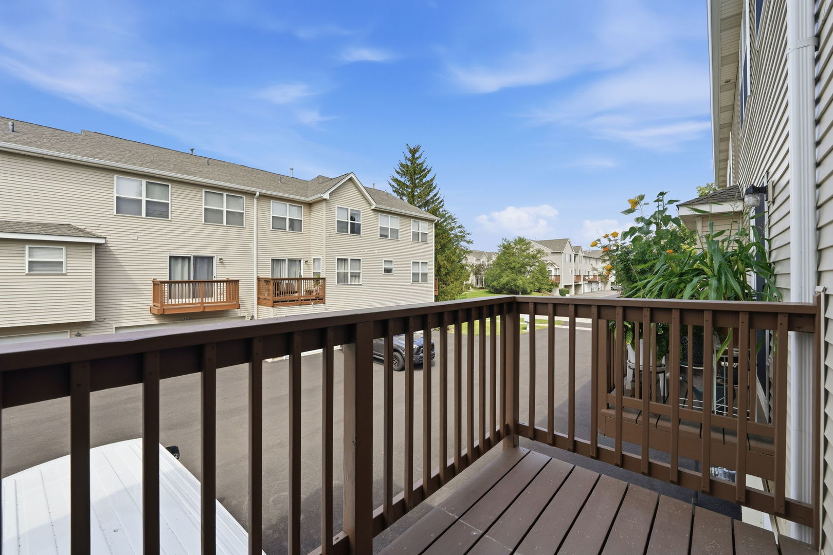 34308 N Goldenrod Road Property Photo 12