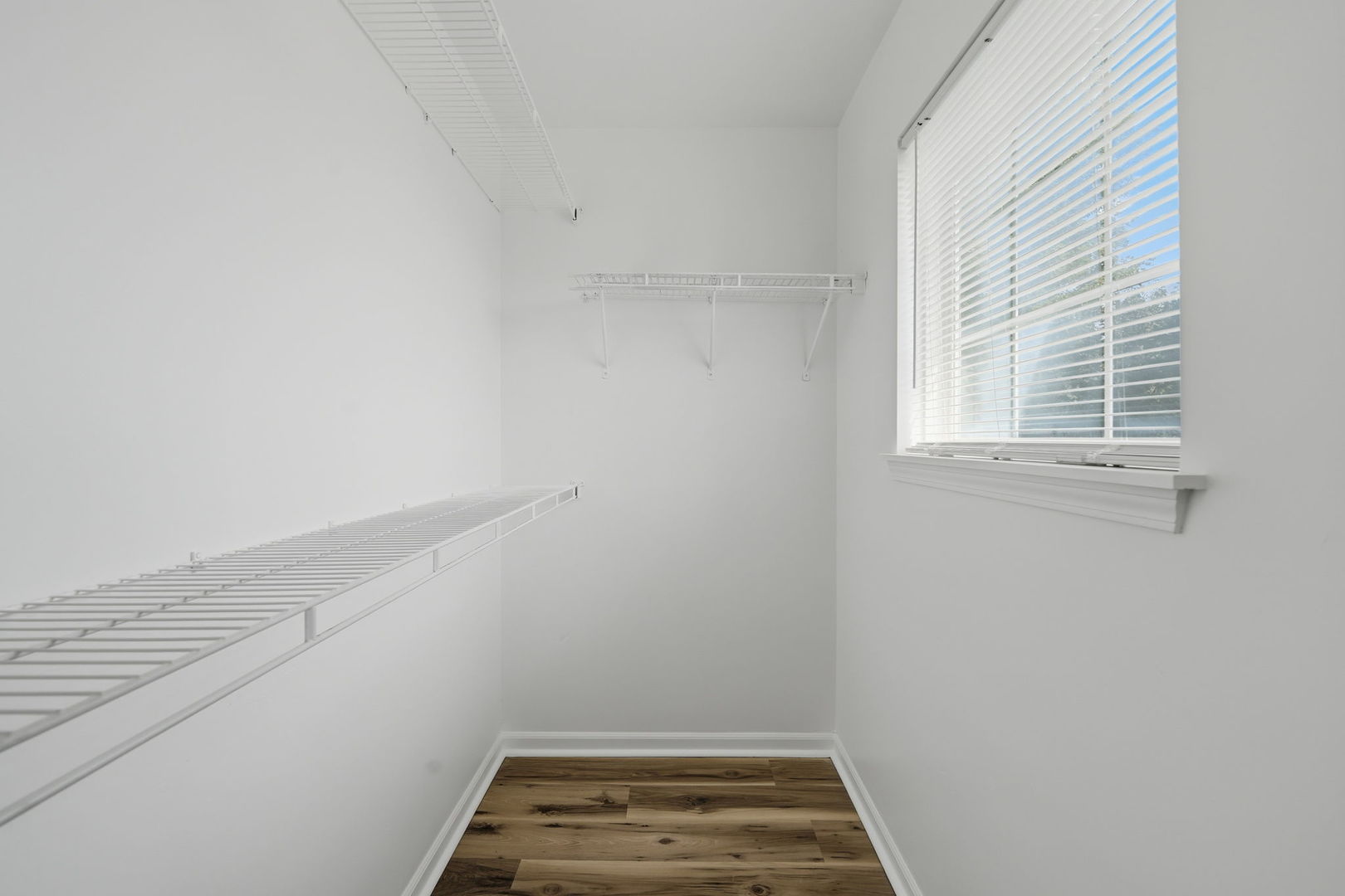 34308 N Goldenrod Road Property Photo 23