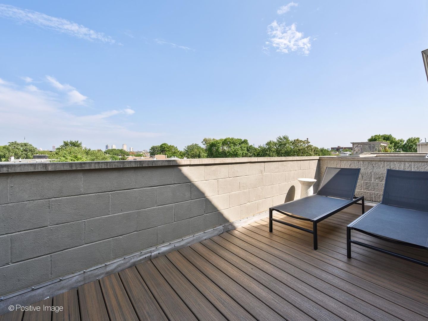 2917 N Damen Avenue 3n Property Photo 25