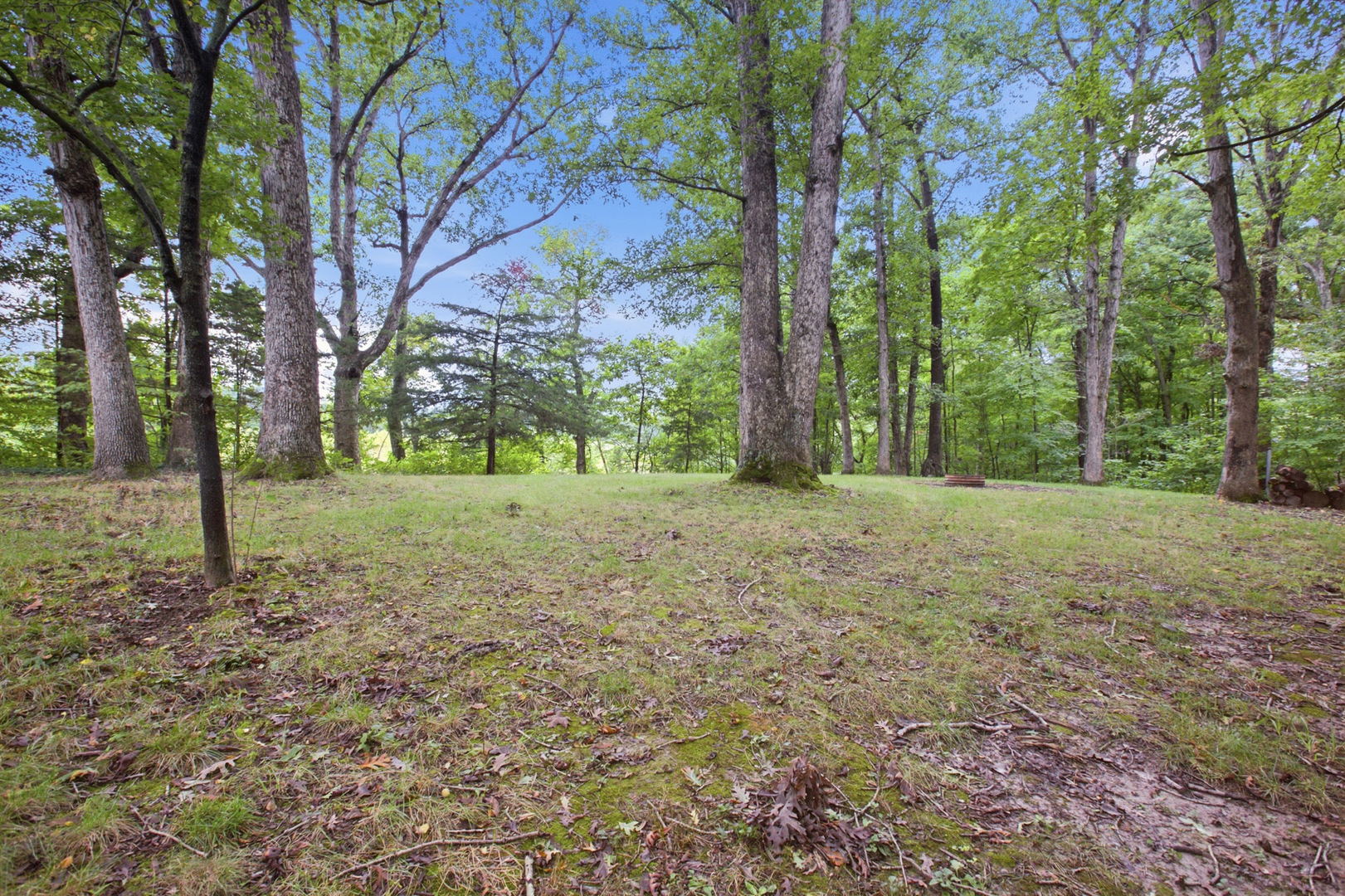 1056 County Road 2125 Property Photo 34