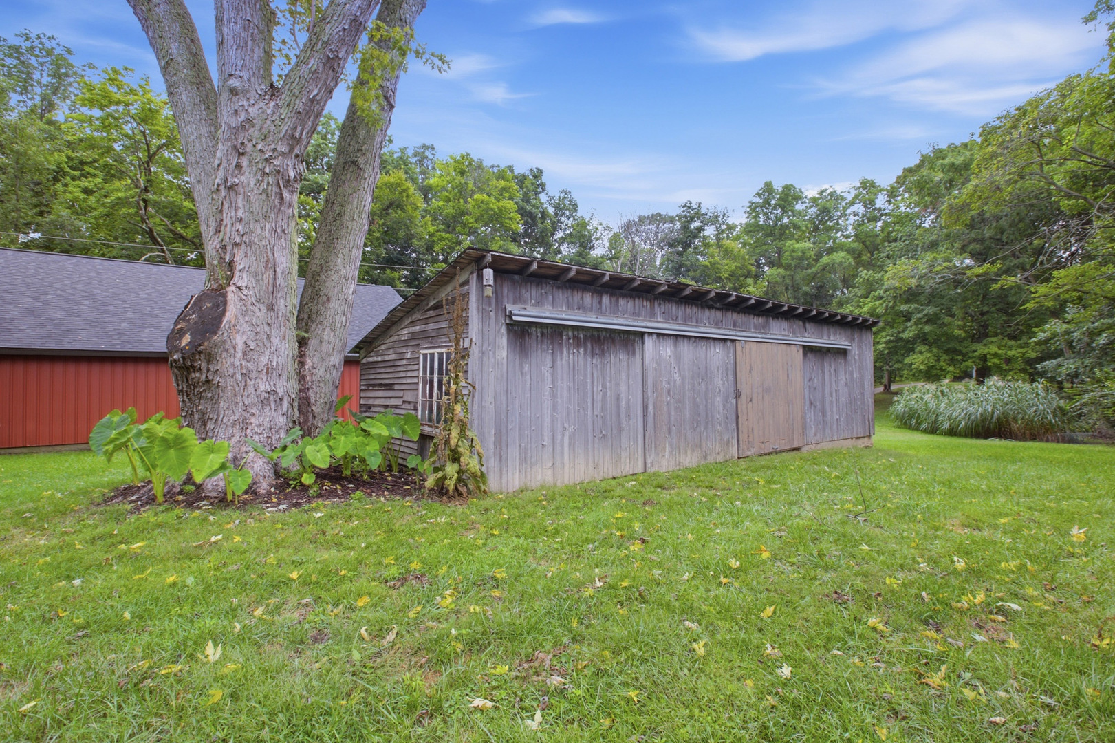 1056 County Road 2125 Property Photo 39