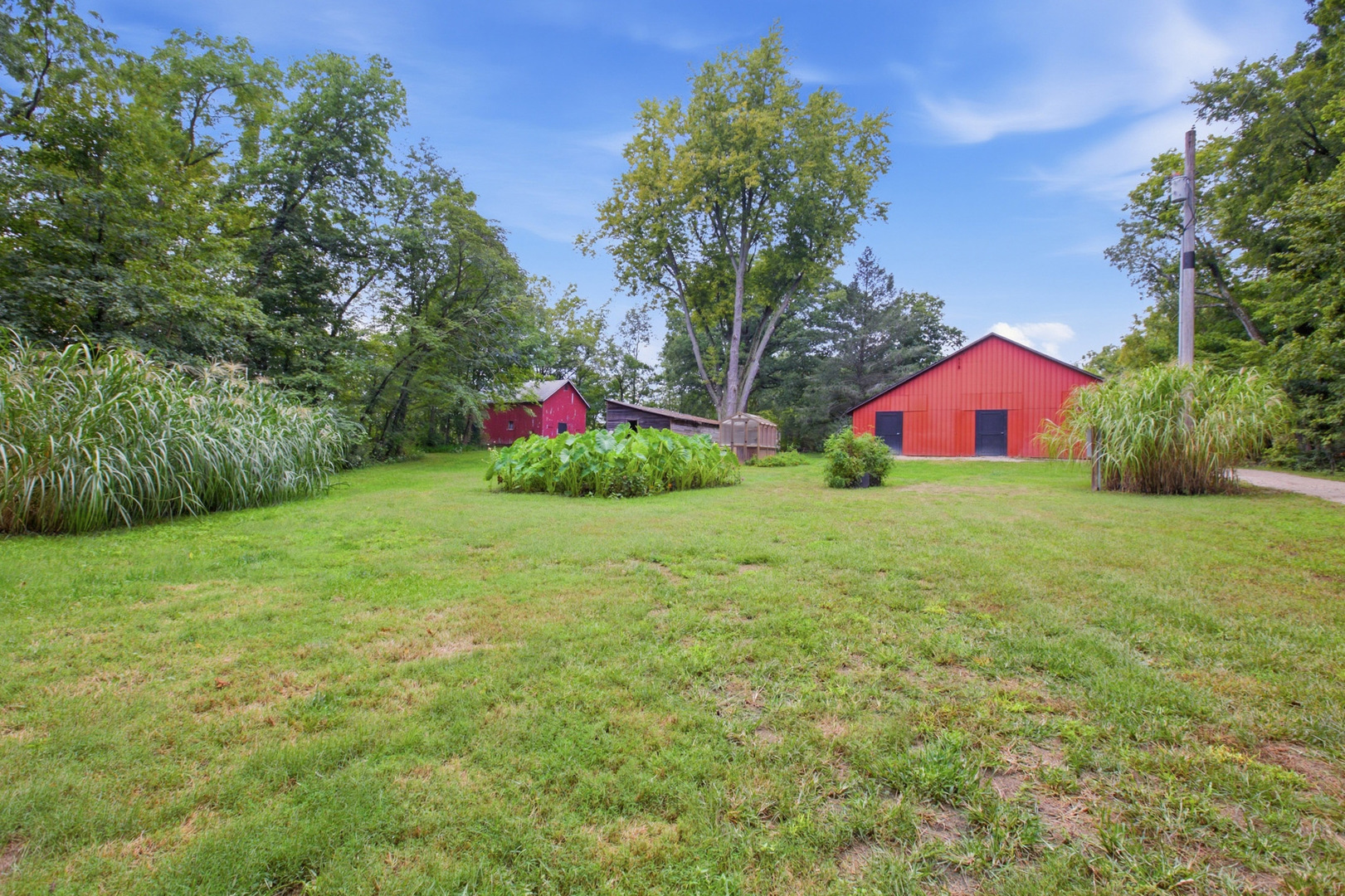 1056 County Road 2125 Property Photo 41