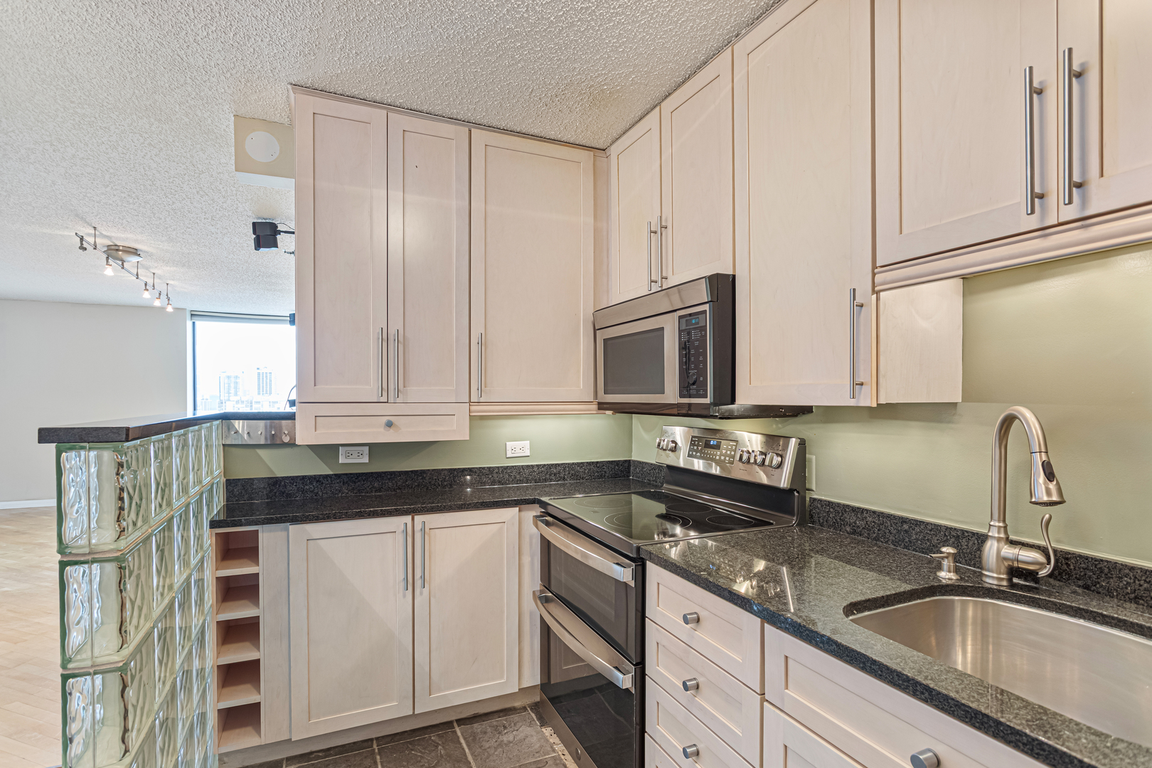 1122 N Clark Street 3105 Property Photo 11