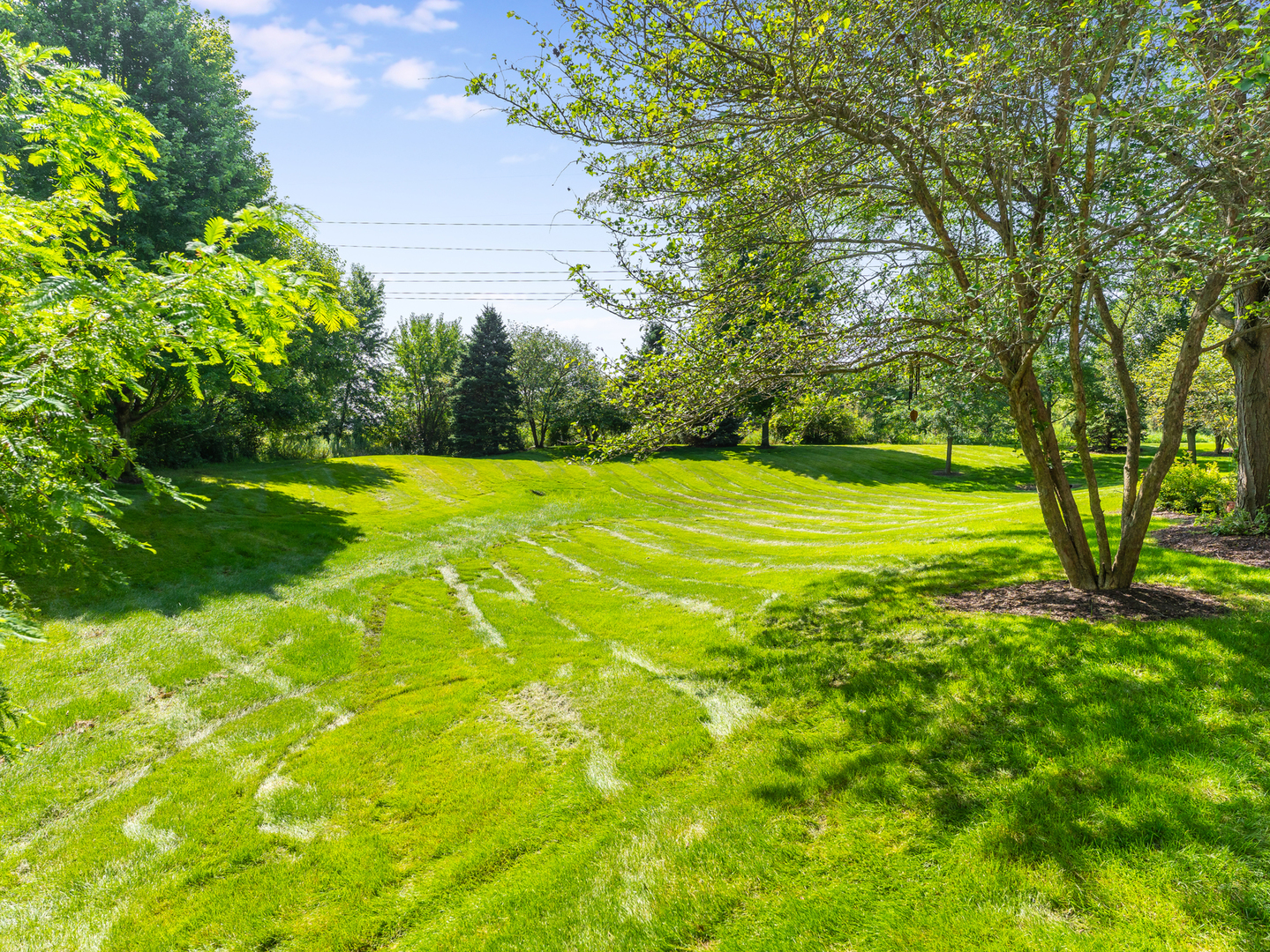 931 Winners Cup Court Property Photo 38