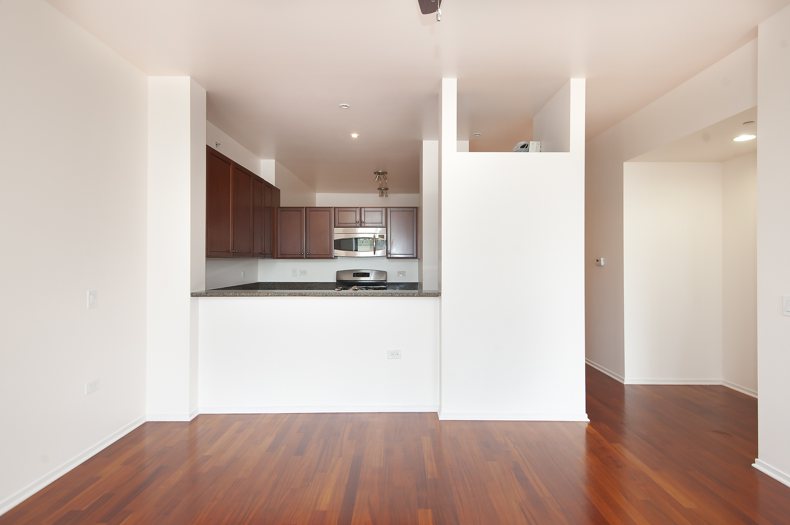 310 S Michigan Avenue 1913 Property Photo 5