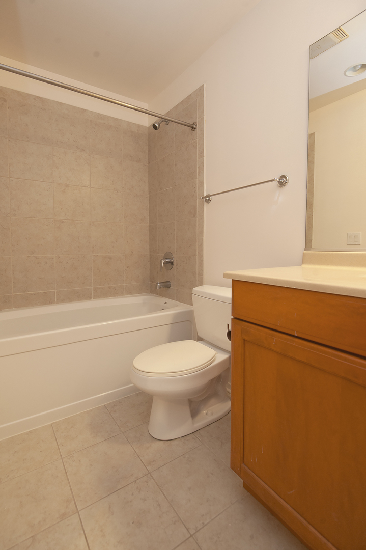 310 S Michigan Avenue 1913 Property Photo 9