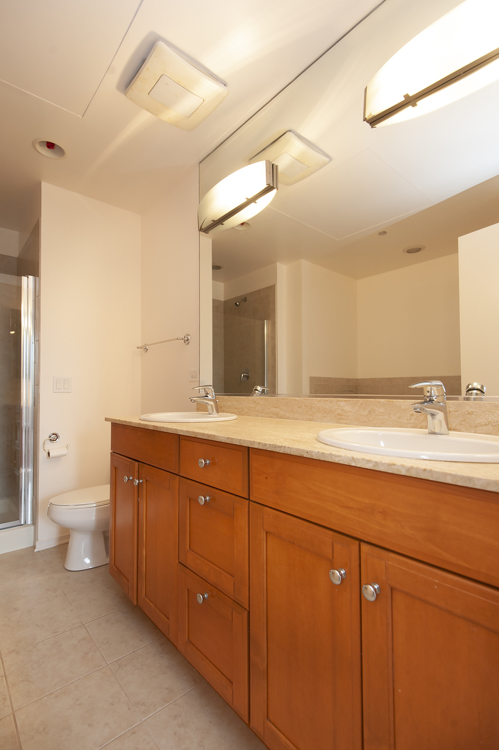 310 S Michigan Avenue 1913 Property Photo 12