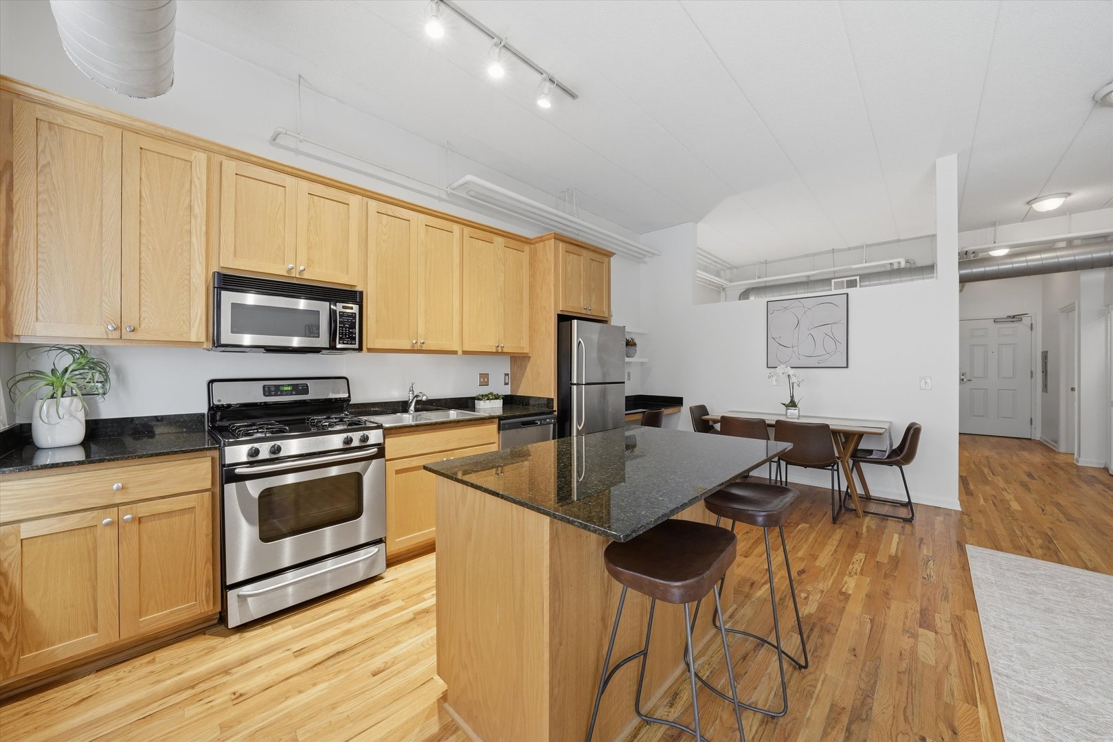 1919 S Michigan Avenue 208 Property Photo 12