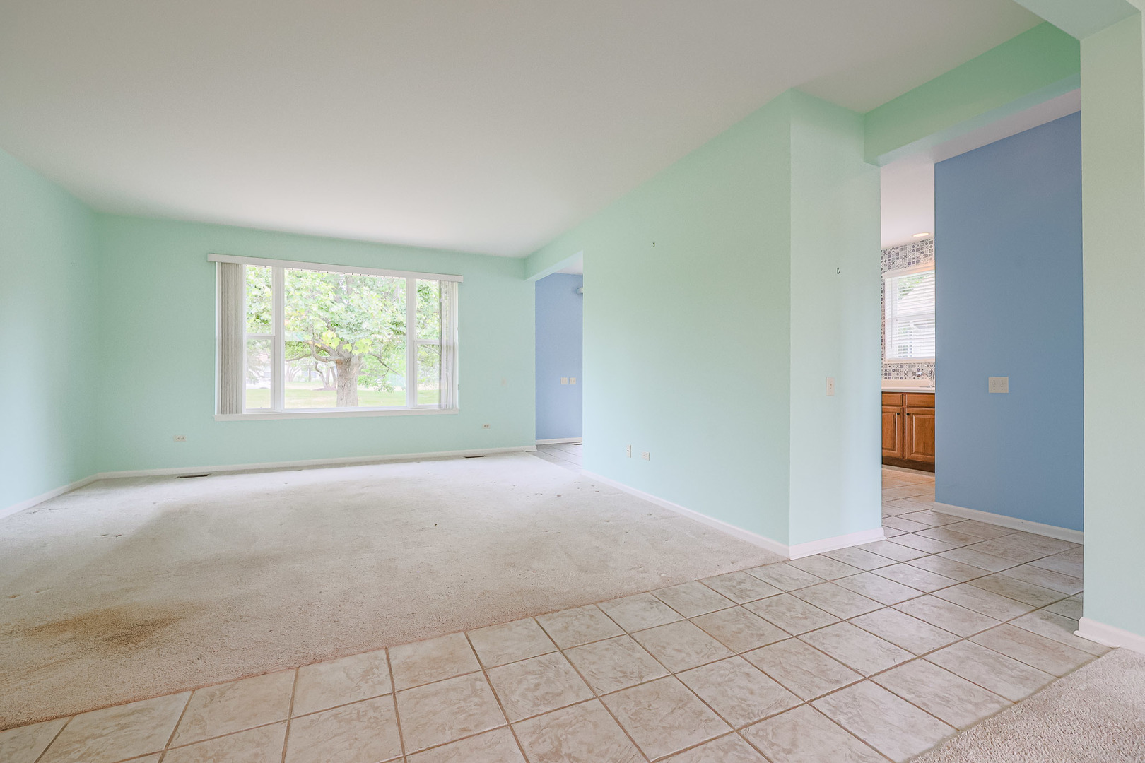 12928 W Willow Creek Lane Property Photo 11