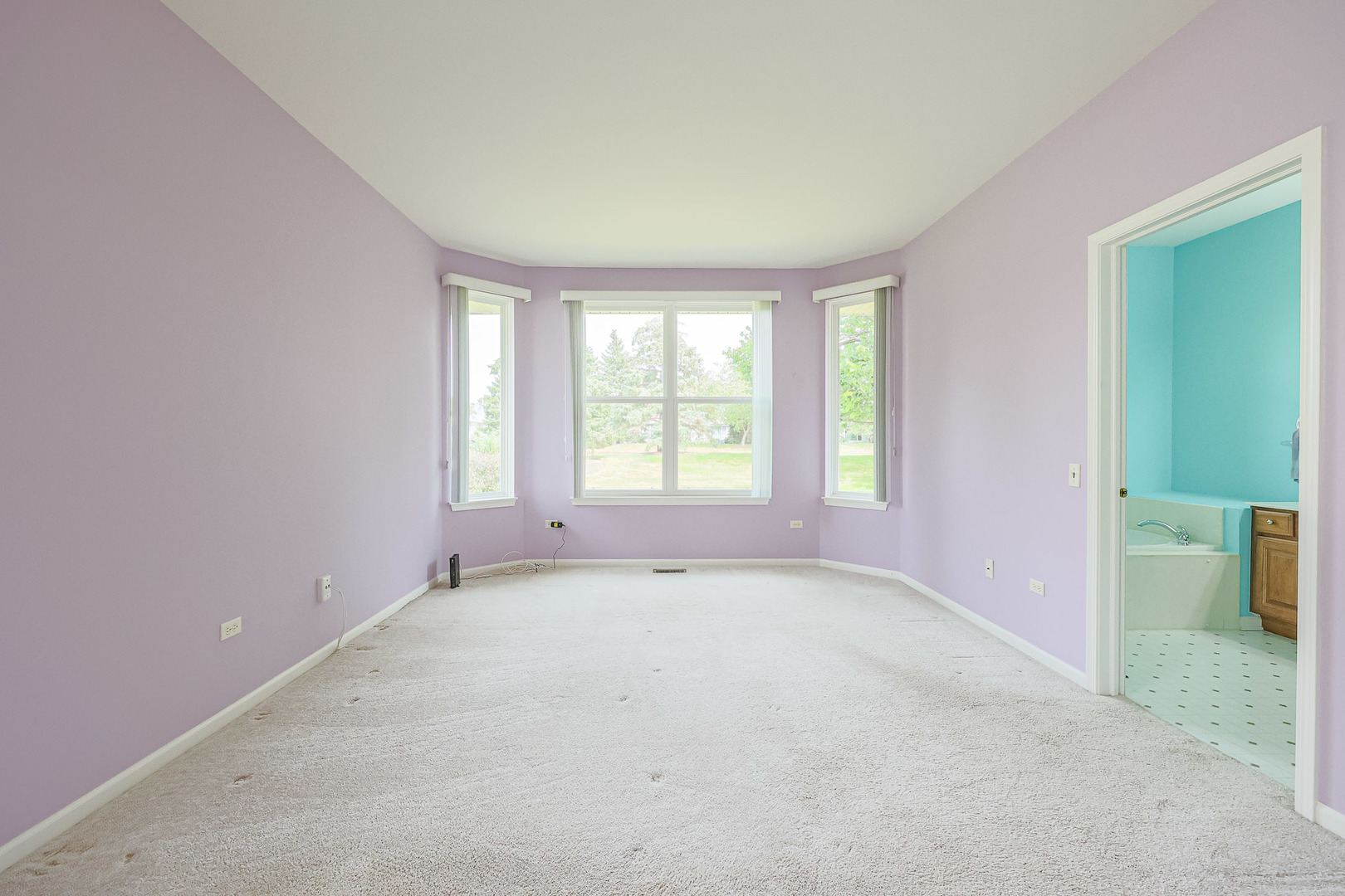 12928 W Willow Creek Lane Property Photo 15