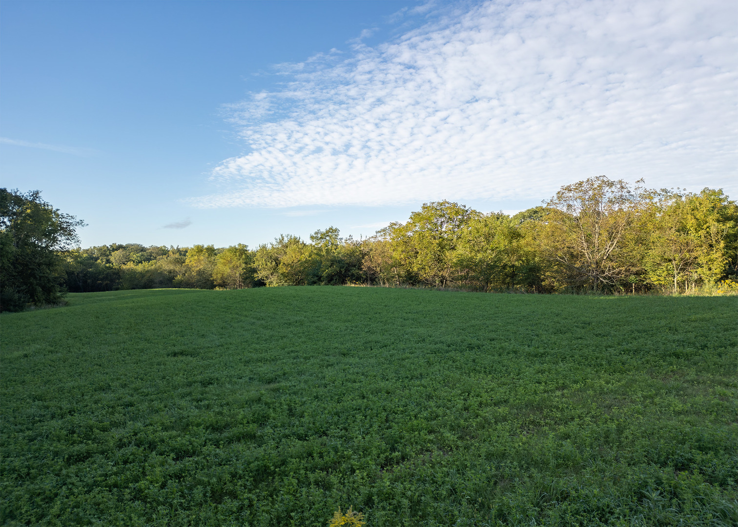 Lot 1 Mineral Road Property Photo 3