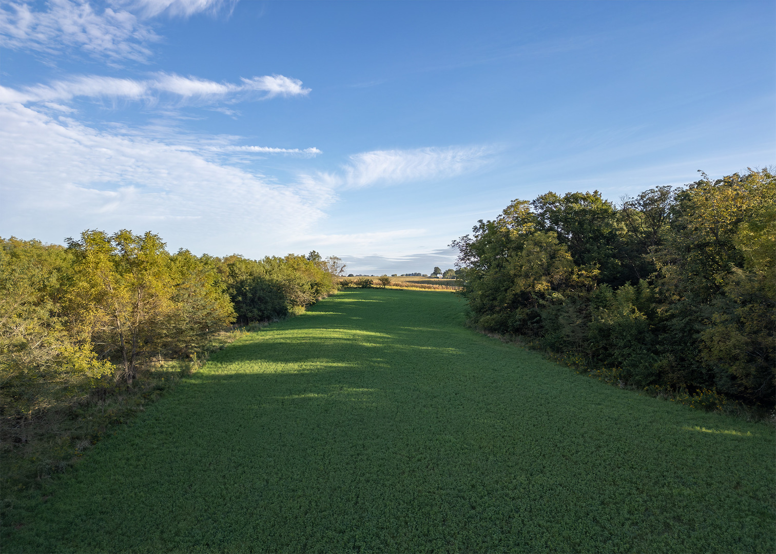 Lot 1 Mineral Road Property Photo 4
