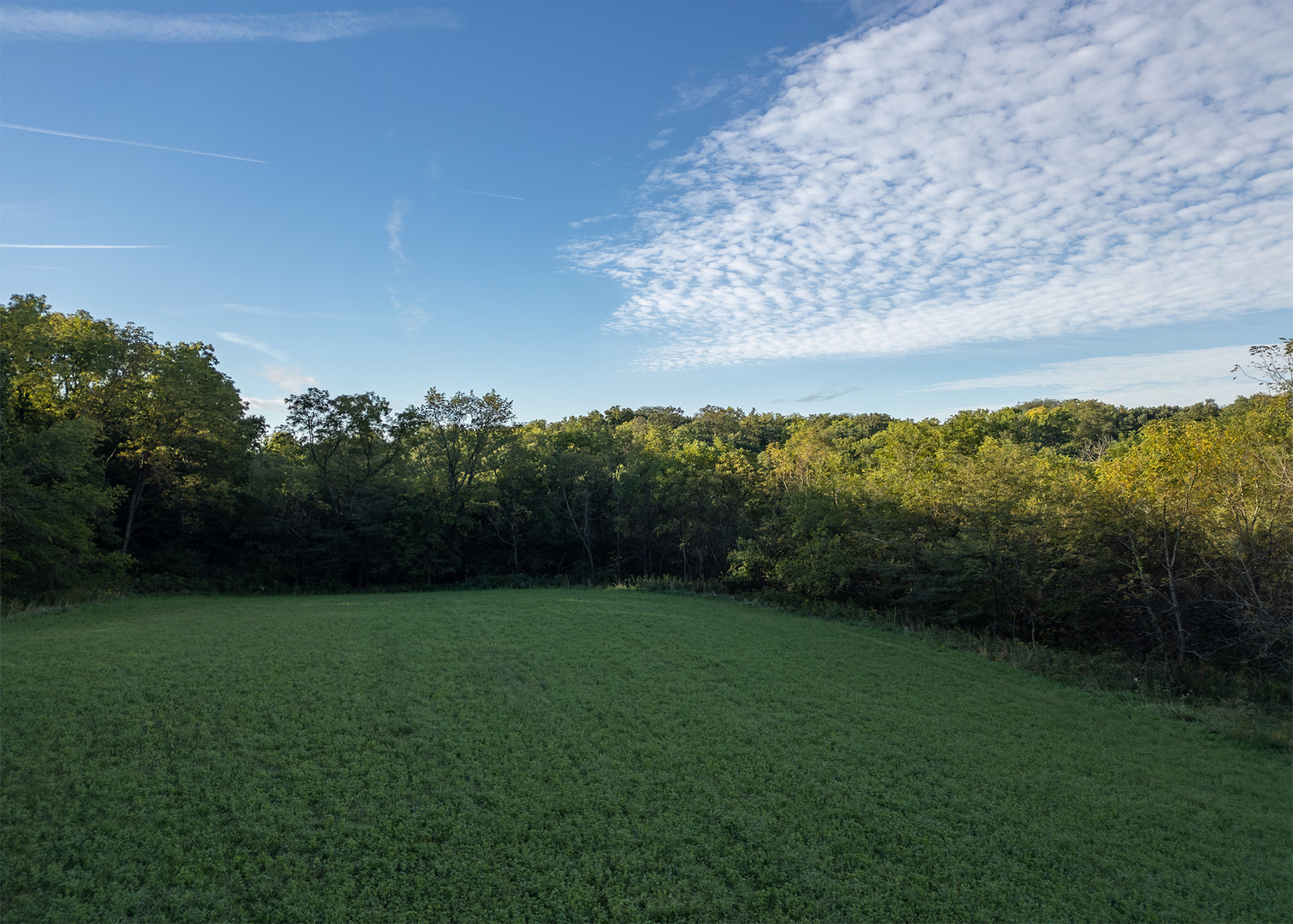 Lot 1 Mineral Road Property Photo 5