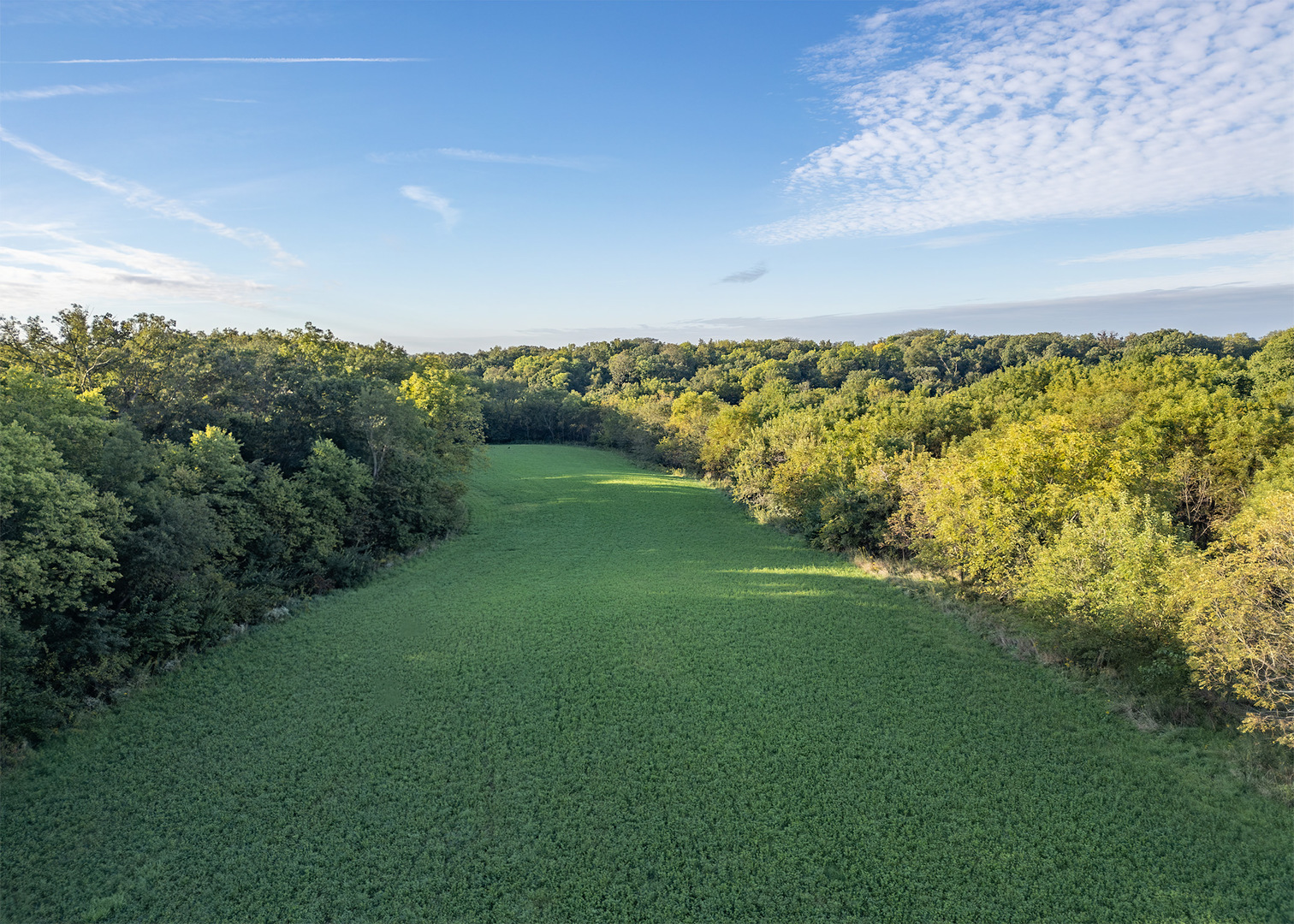 Lot 1 Mineral Road Property Photo 6