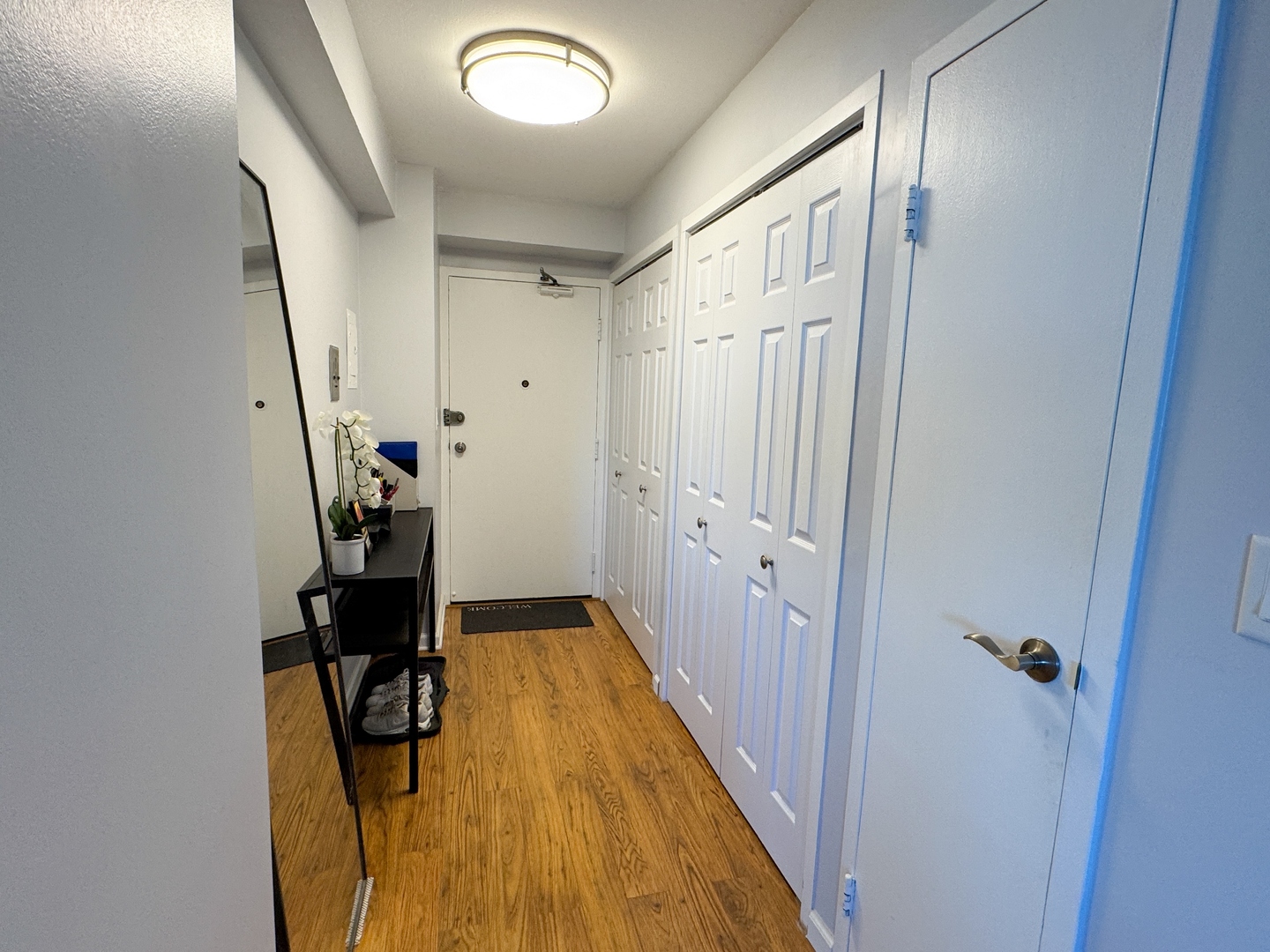 3100 N Lake Shore Drive 512 Property Photo 18
