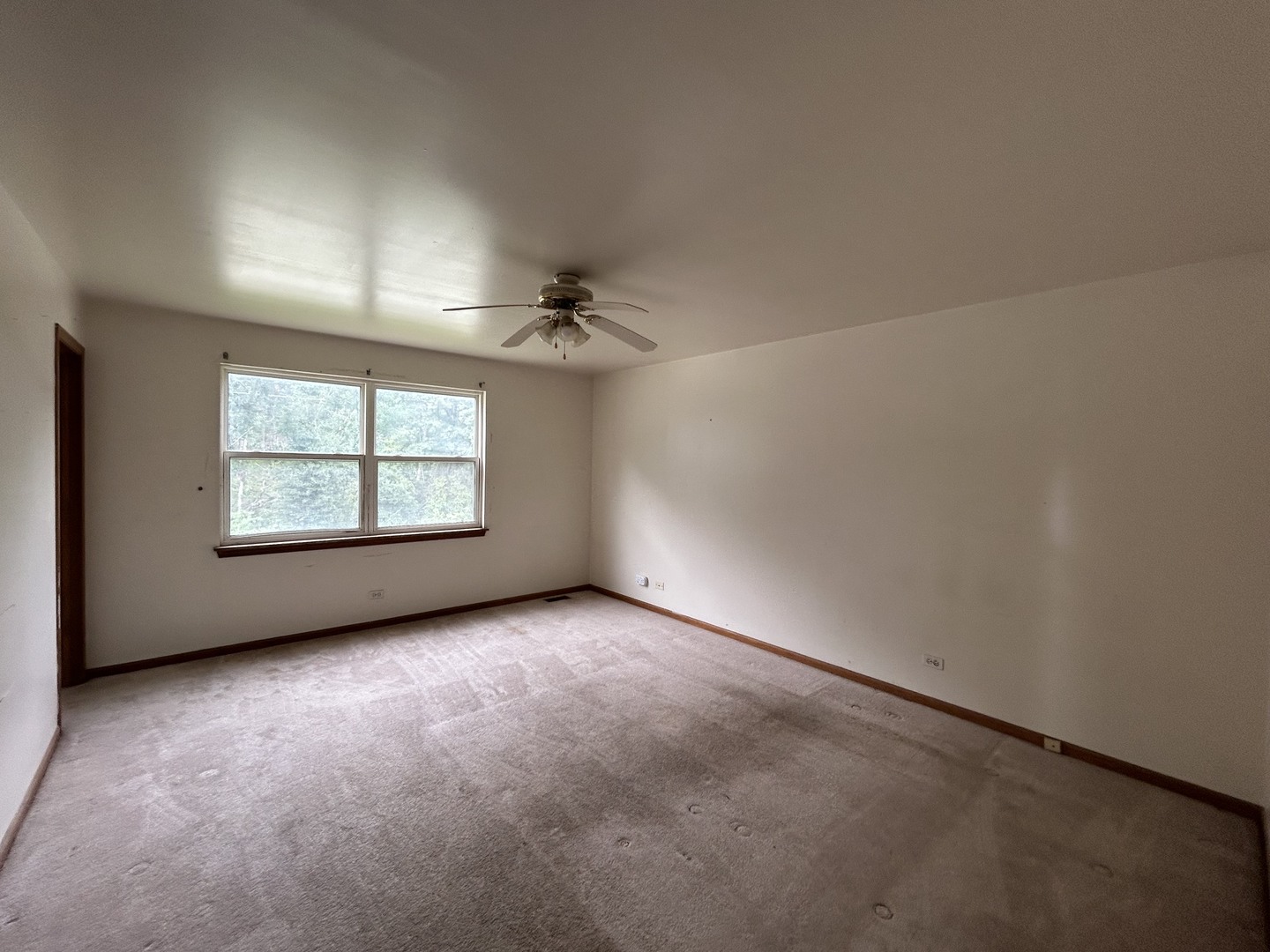 715 Wright Road Property Photo 18