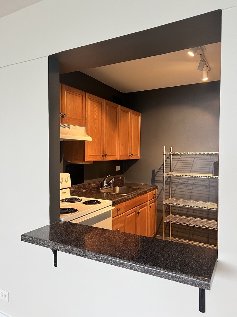 7337 S South Shore Drive 1209 Property Photo 7
