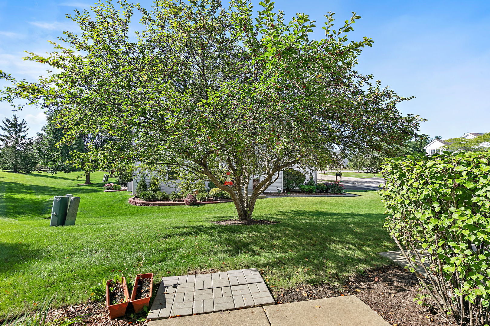206 Wild Meadow Lane Property Photo 18