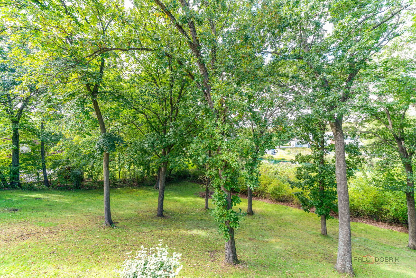39152 N West End Drive Property Photo 11