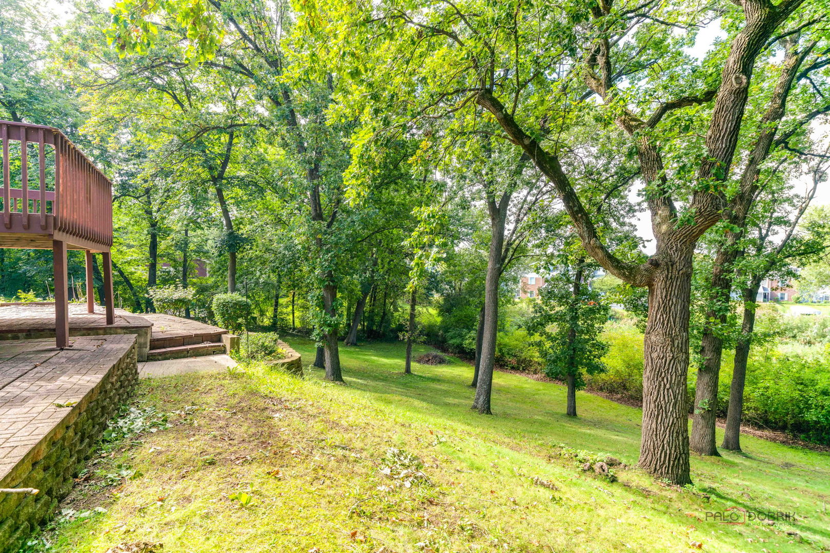 39152 N West End Drive Property Photo 34